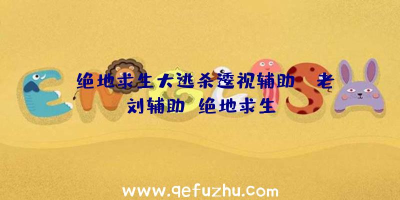 「绝地求生大逃杀逶视辅助」|老刘辅助